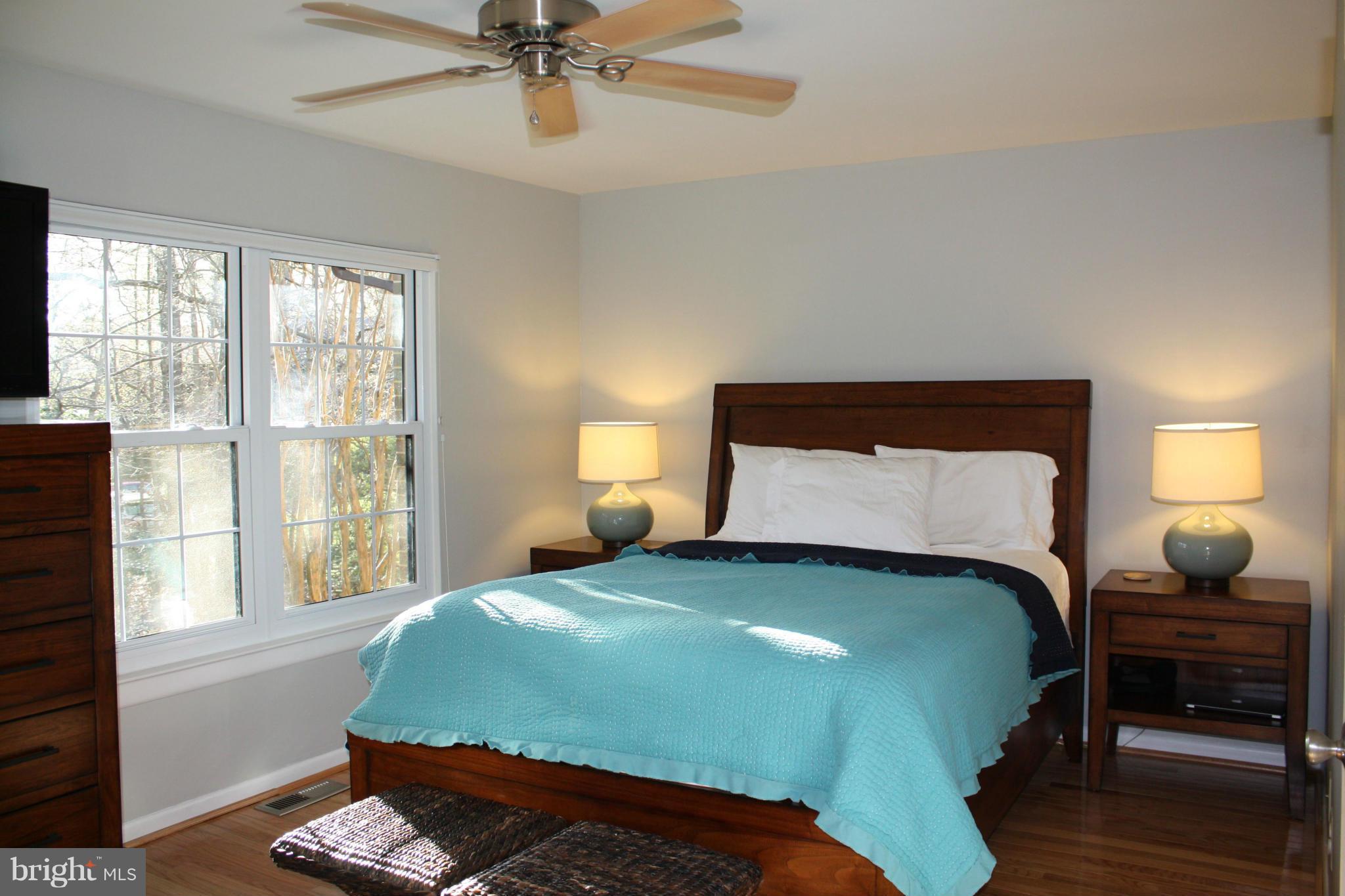 2046 Headlands Circle Reston, VA 20191 - Photo 11 of 18 light filled master bedroom