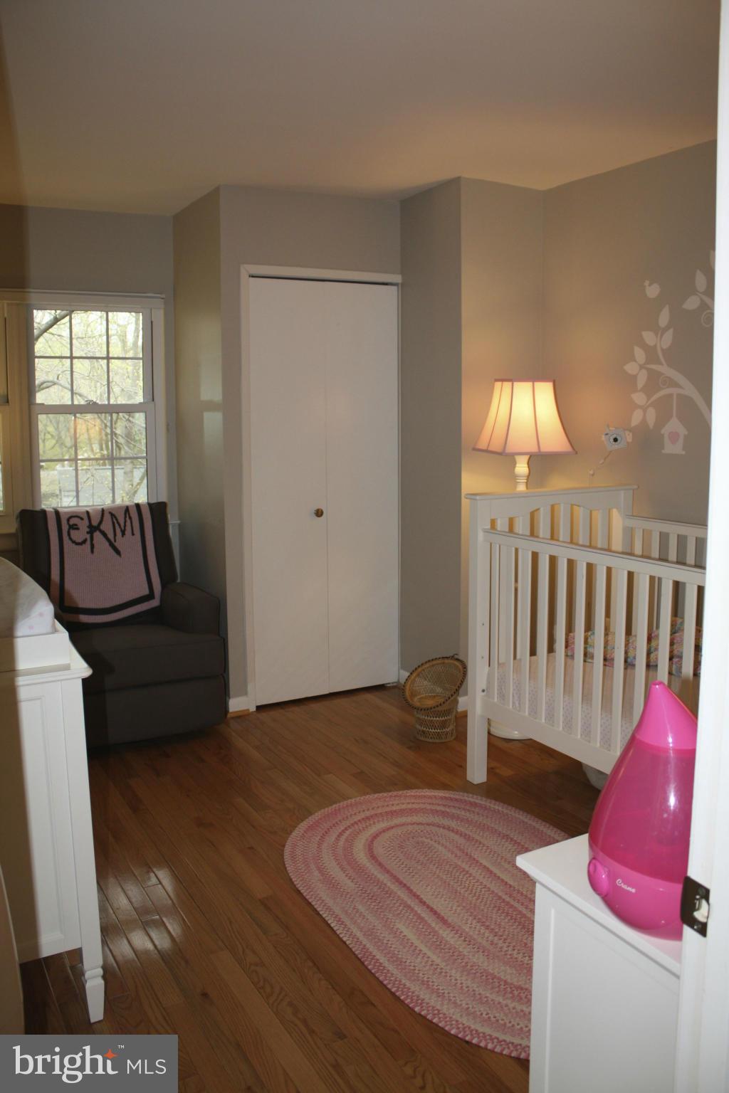 2046 Headlands Circle Reston, VA 20191 - Photo 13 of 18 Bedroom #3