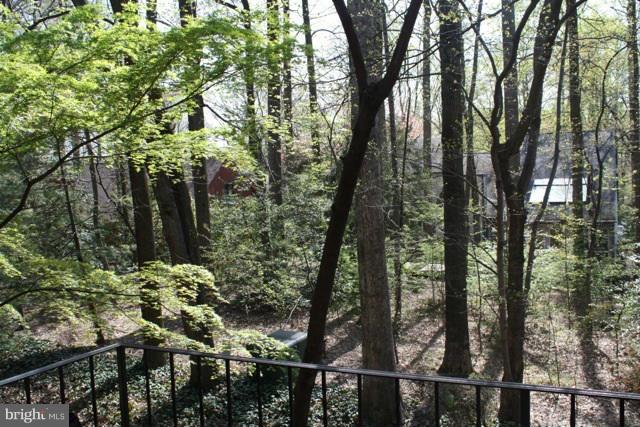2046 Headlands Circle Reston, VA 20191 - Photo 18 of 18 The view from the balcony