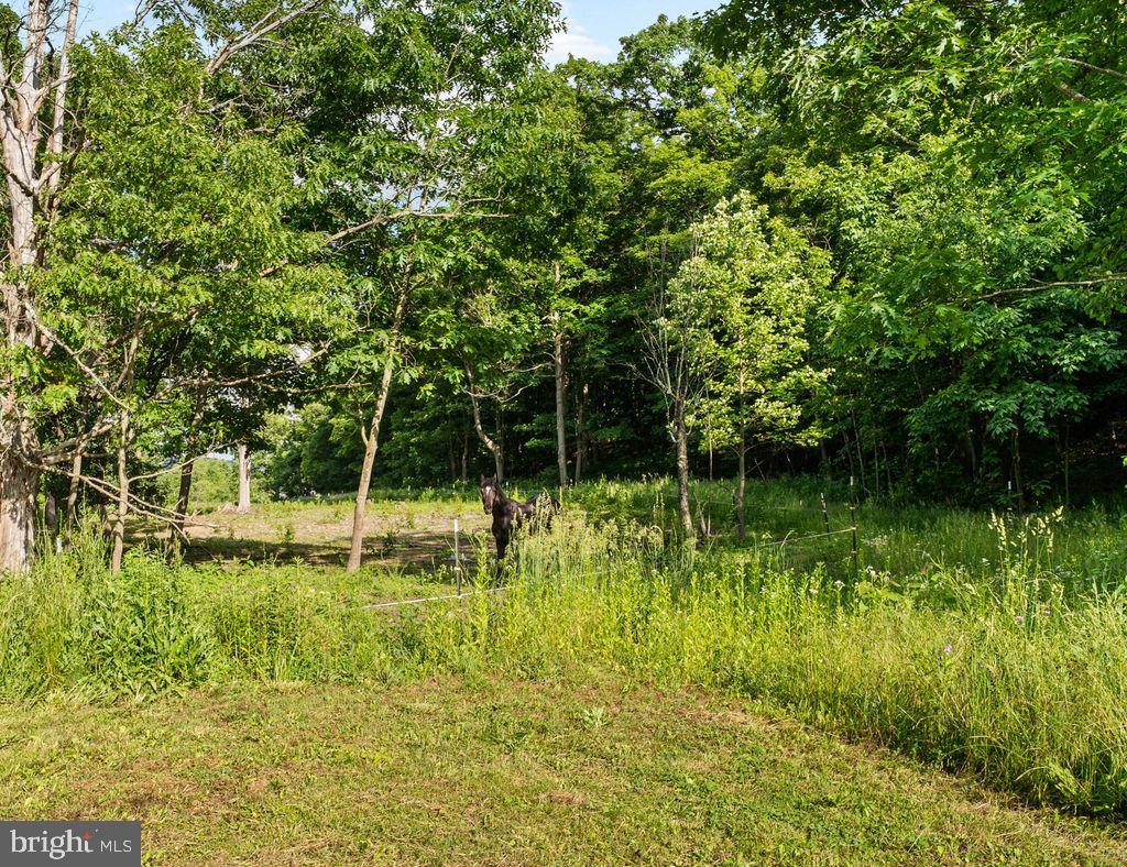 1030 Bethel Hollow Road Schellsburg, PA 15559 - Photo 37 of 37 Pasture