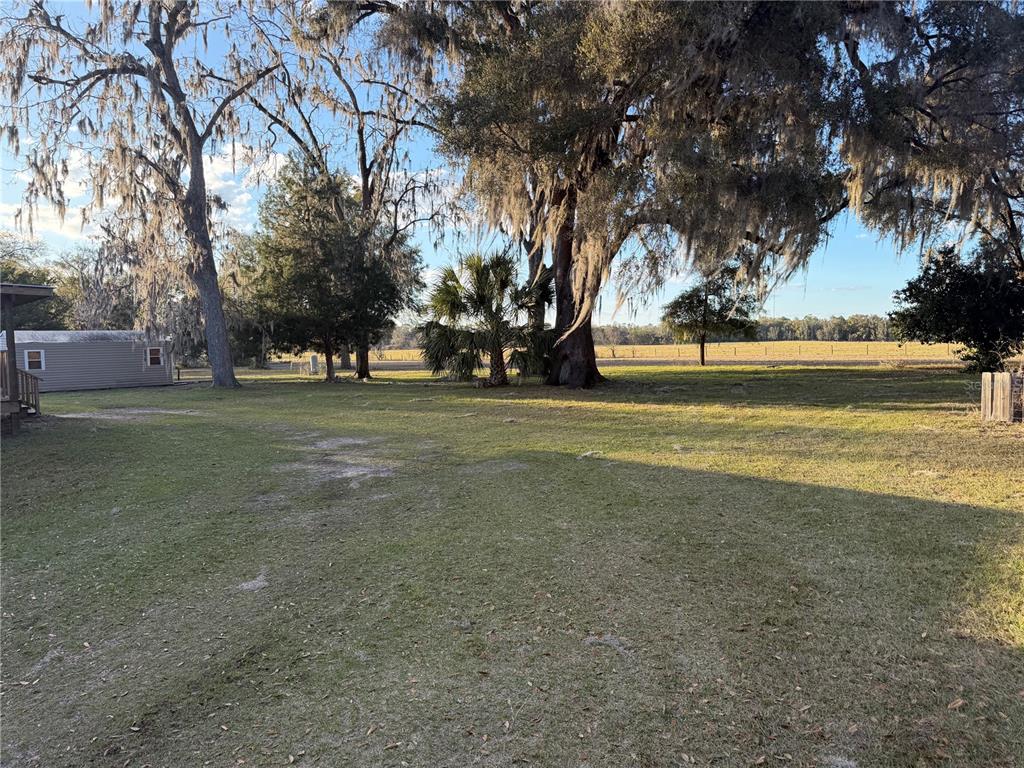 20638 Southwest 38th Avenue Newberry, FL 32669 - Photo 8 of 8 a view of a field with trees around