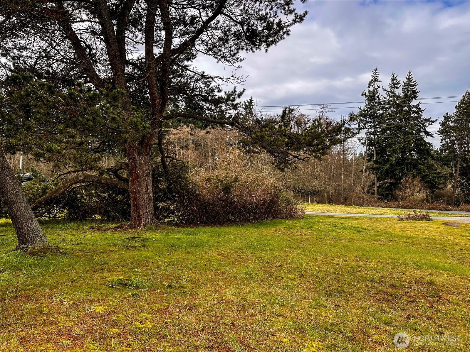 0 North State Street Oak Harbor, WA 98277 - Photo 4 of 5