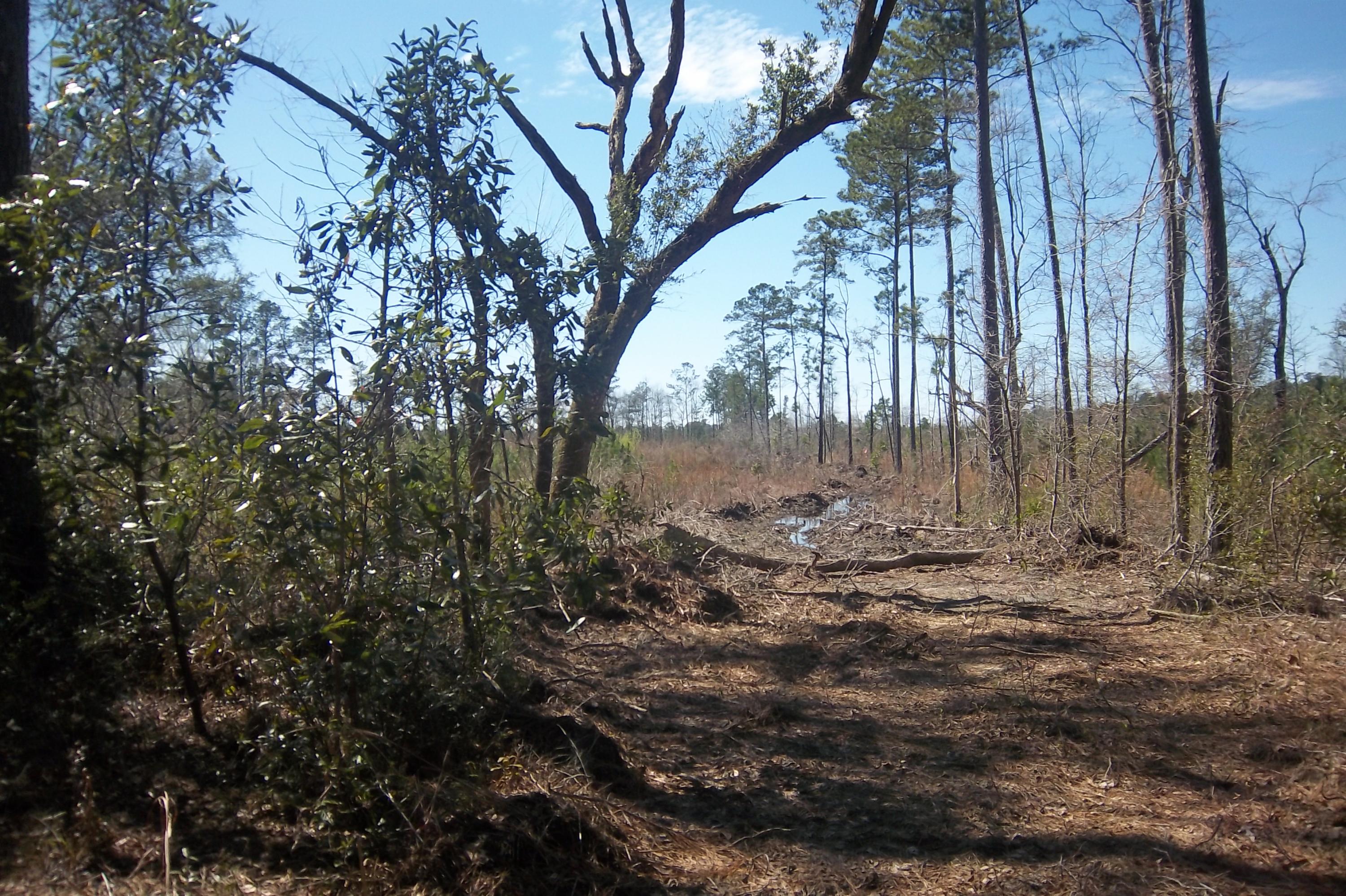 Lot 5 Salem Road Dorchester, SC 29437 - Photo 2 of 2 Easement