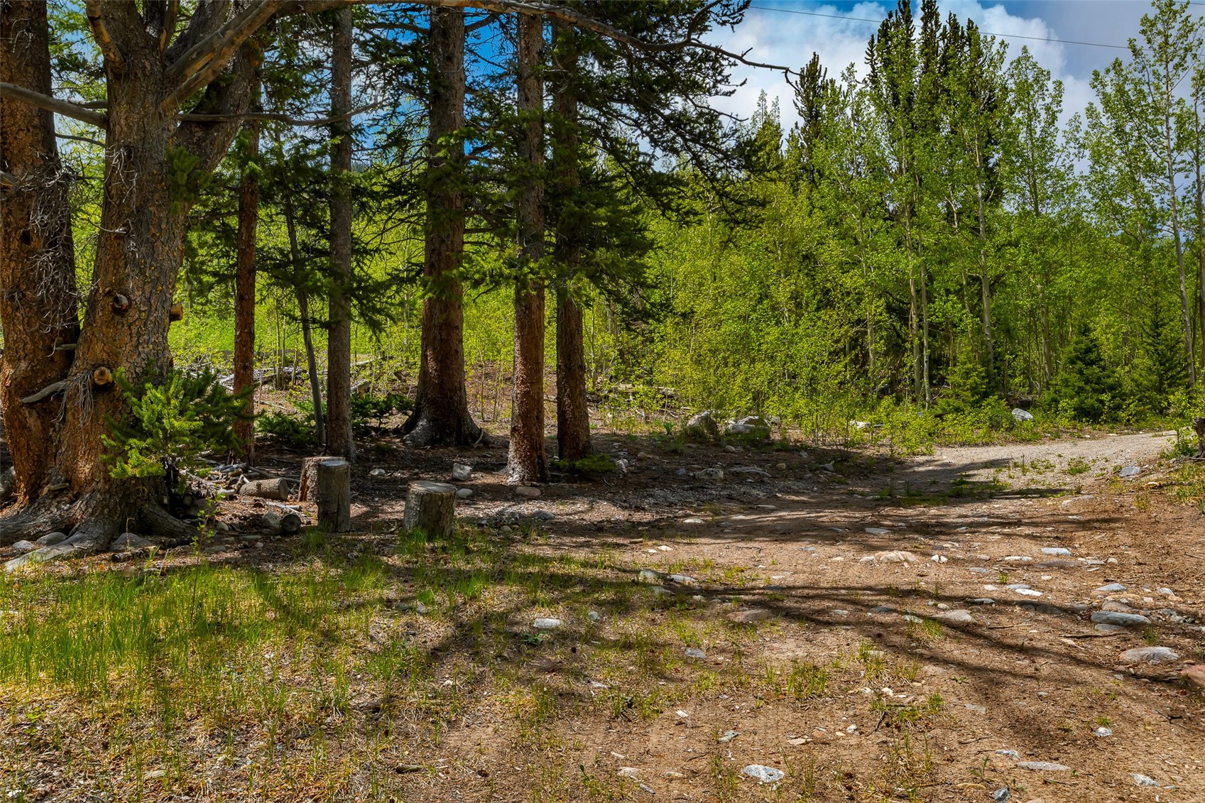 522 Quartzville Road Alma, CO 80420 - Photo 16 of 46