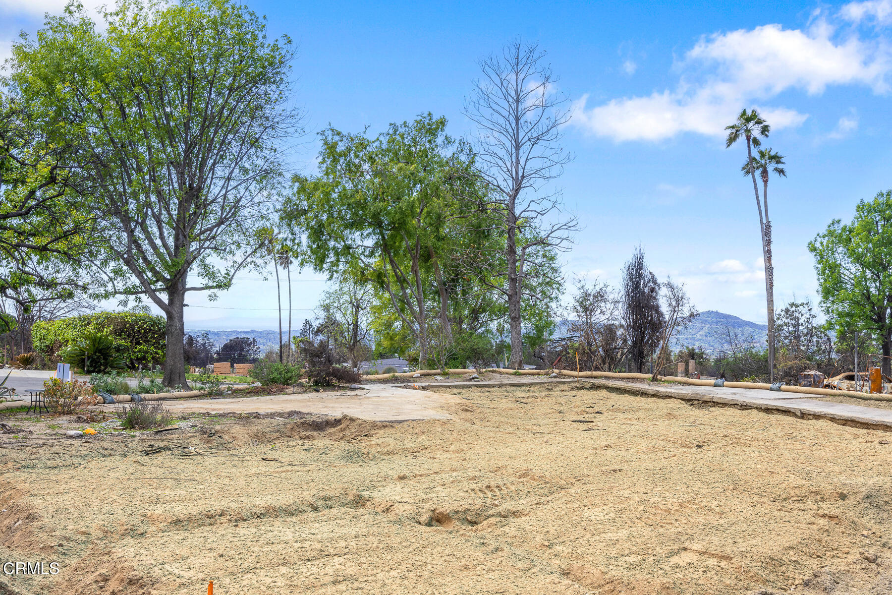 411 Alta Pine Drive Altadena, CA 91001 - Photo 11 of 23 a street view with large trees