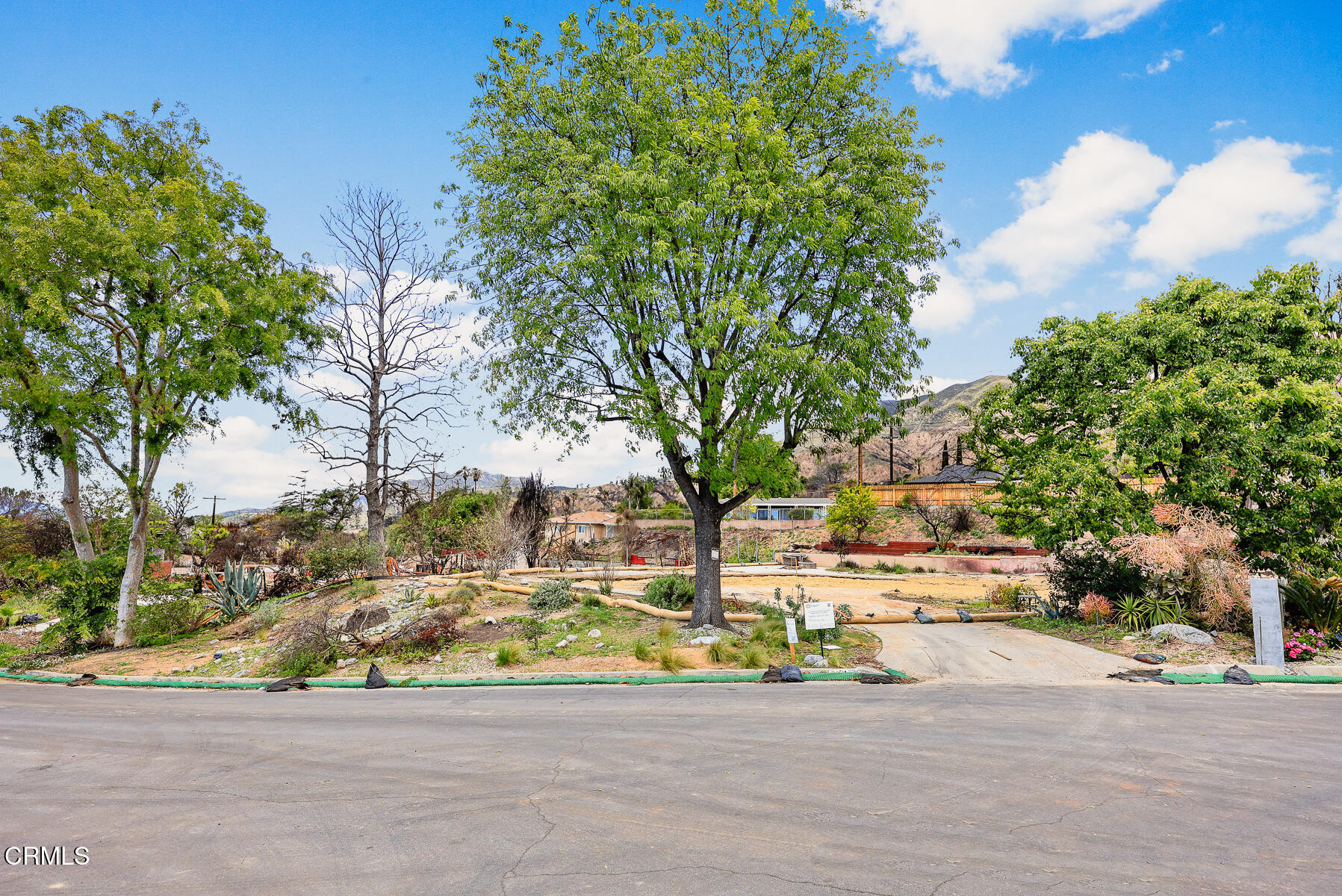 411 Alta Pine Drive Altadena, CA 91001 - Photo 2 of 23 a view of street with houses