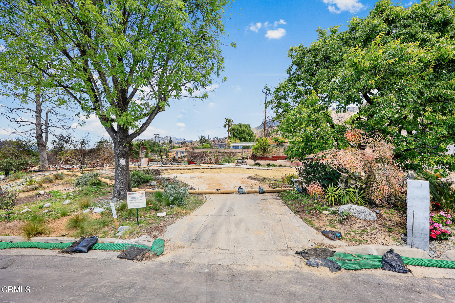 411 Alta Pine Drive Altadena, CA 91001 - Photo 3 of 23 a view of backyard with green space