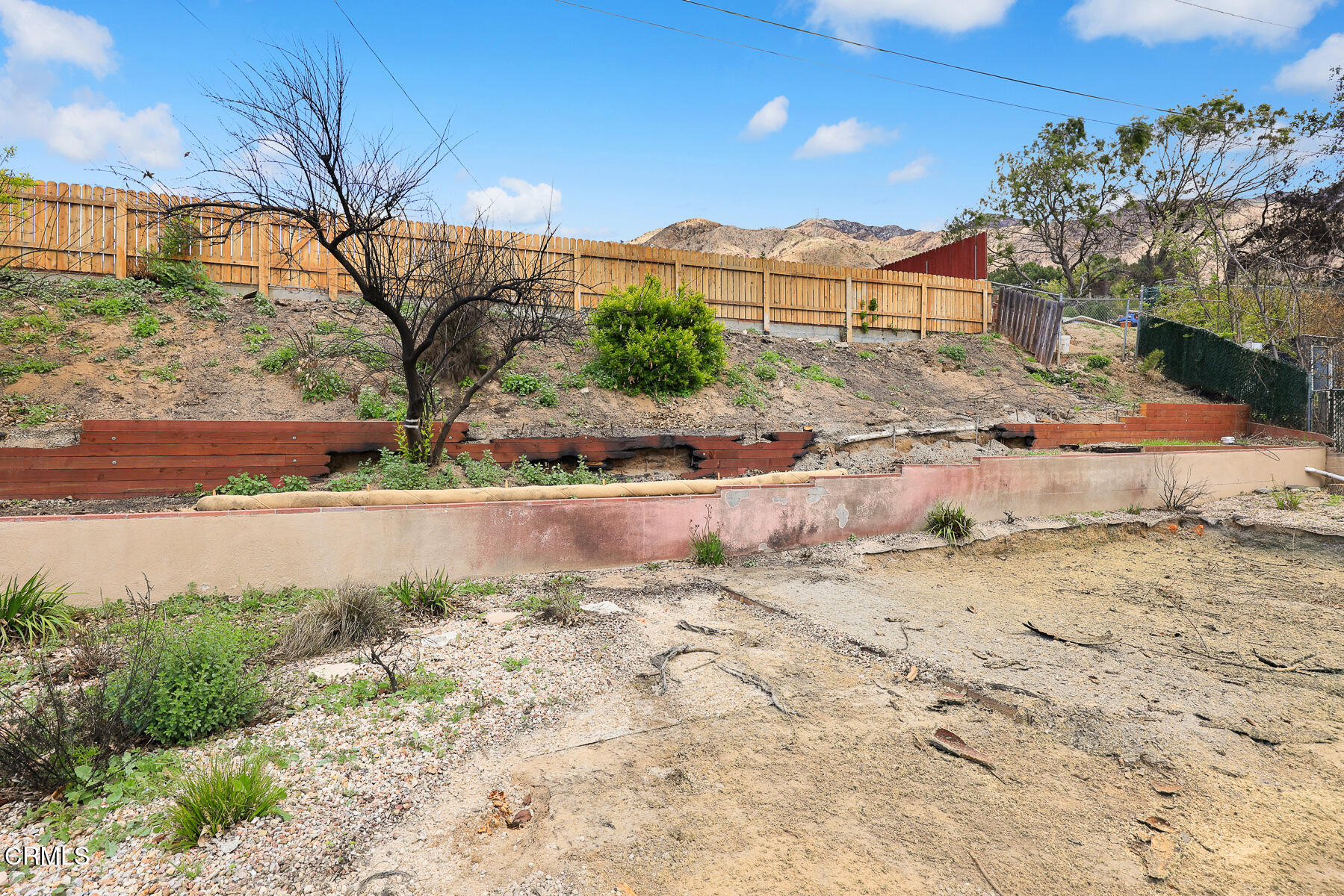 411 Alta Pine Drive Altadena, CA 91001 - Photo 9 of 23 a view of a yard with a tree