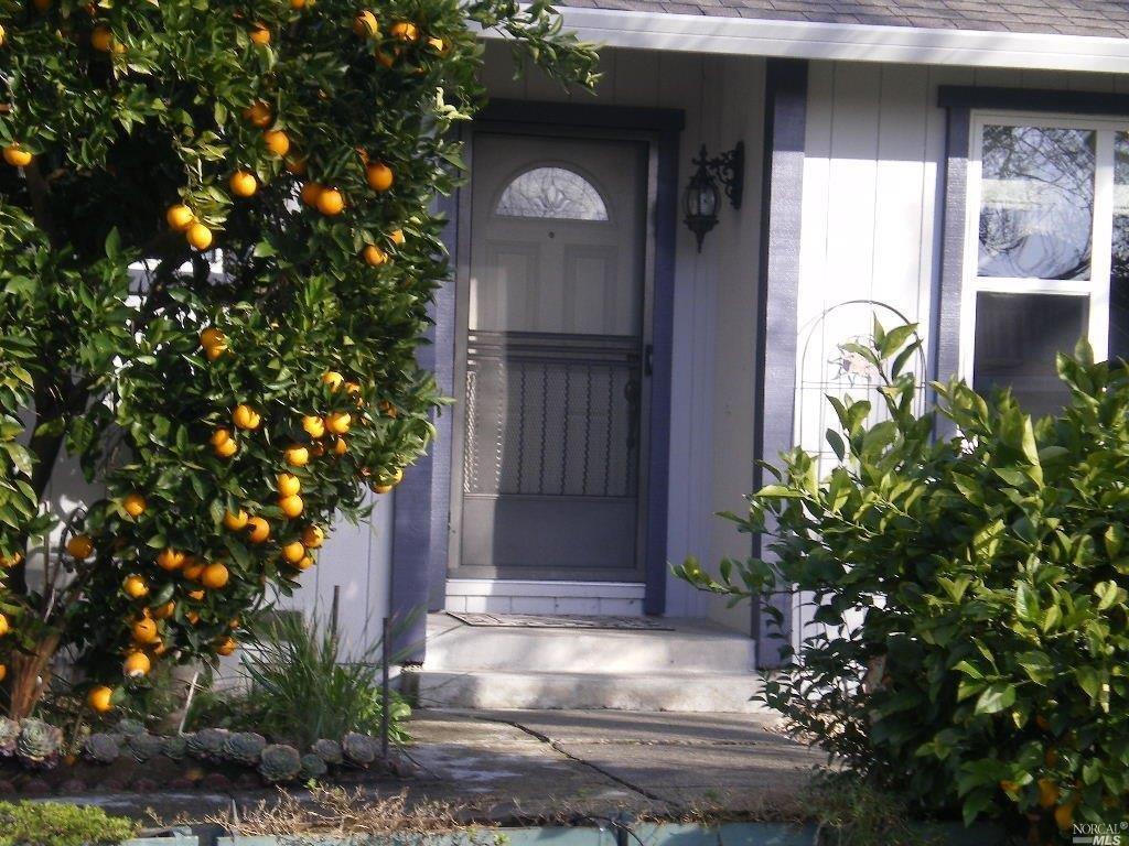 a front view of a house with garden