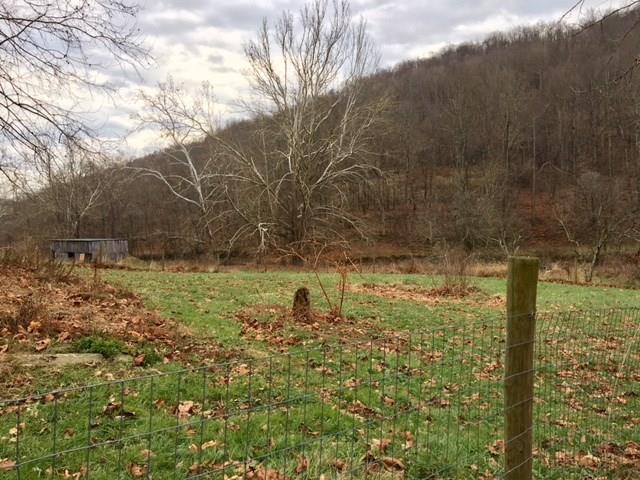 787 Big Shannon Run Road Mount Morris, PA 15349 - Photo 6 of 25