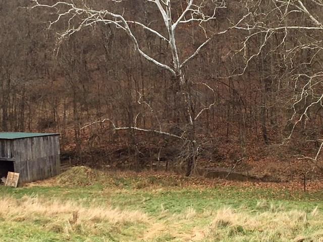 787 Big Shannon Run Road Mount Morris, PA 15349 - Photo 7 of 25