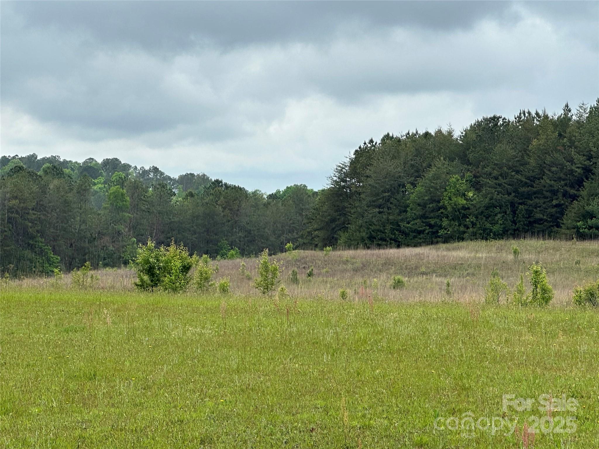 0 Thompson Road Rutherfordton, NC 28139 - Photo 2 of 2 a view of a garden with trees in the background