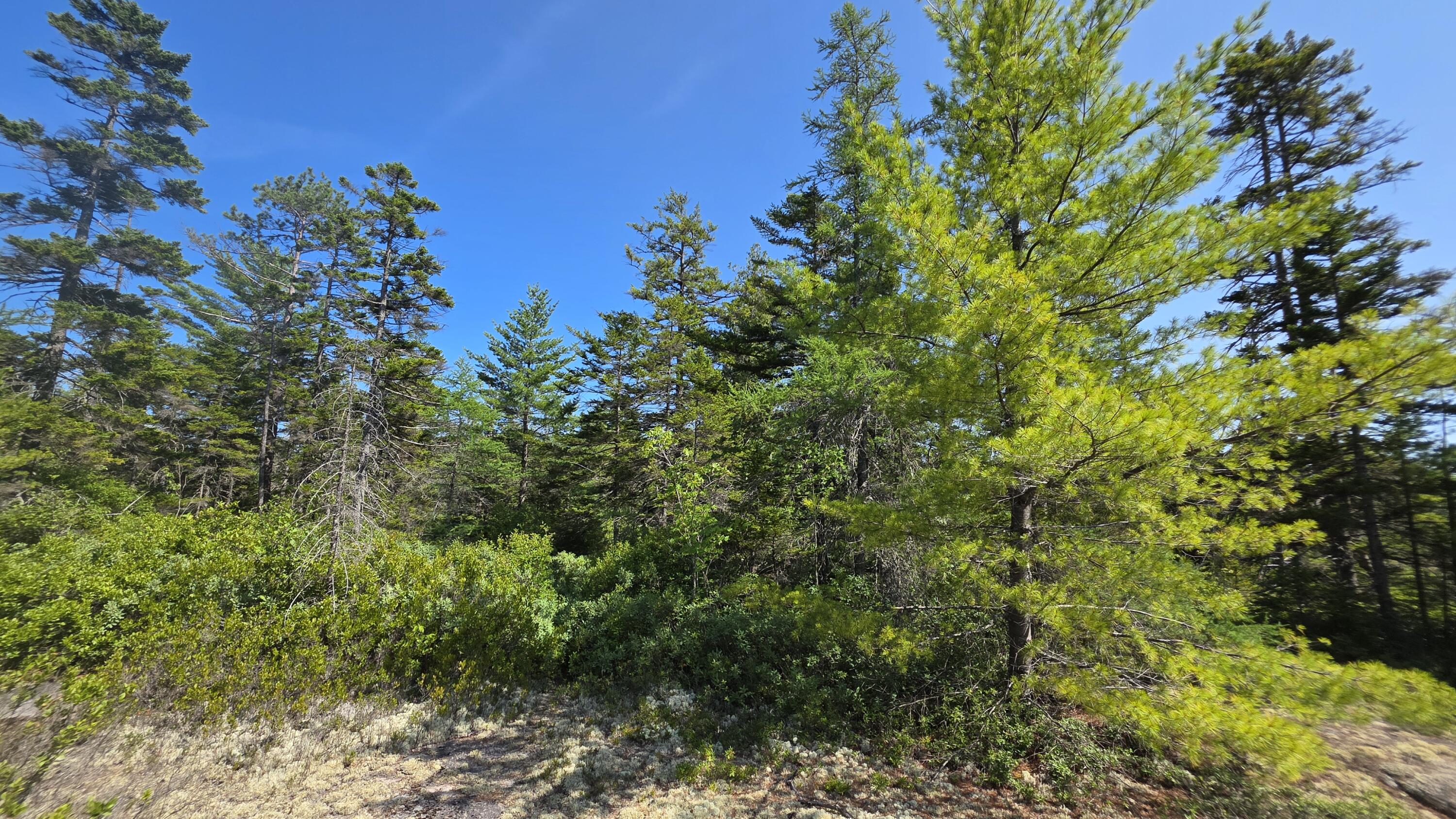 1 Map Road Jonesboro, ME 04648 - Photo 13 of 25 20260728_151446(0)