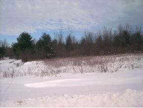 Lot 2 Durgy Hill Road West Rutland, VT 05777 - Photo 1 of 2