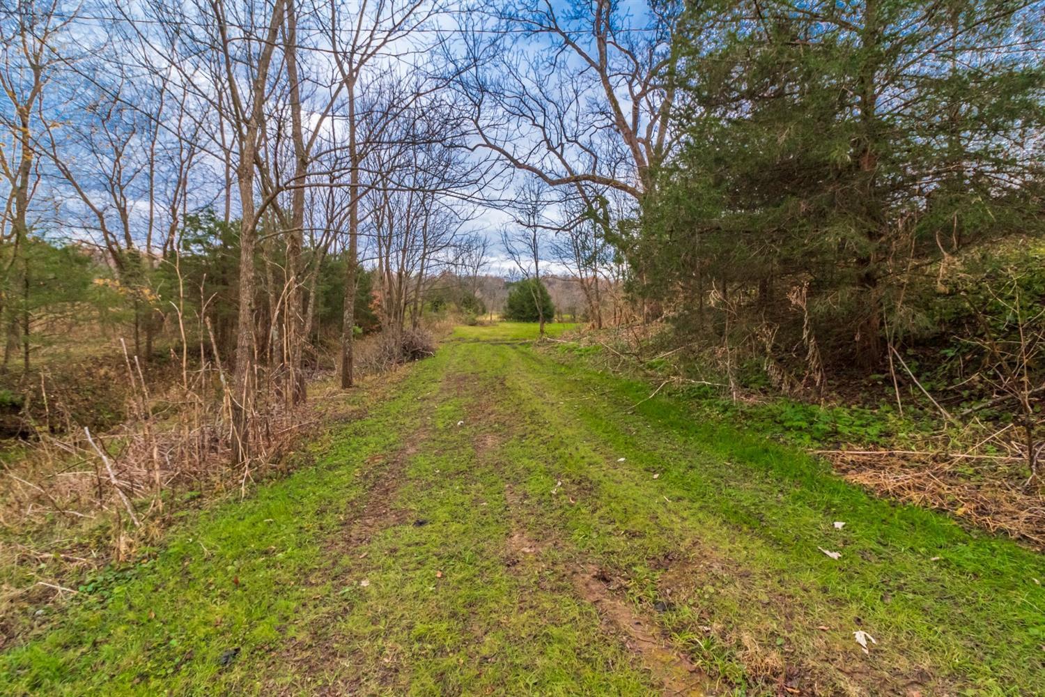 444 Dutch Thomas Road Peebles, OH 45660 - Photo 45 of 50 Gallery Image 45