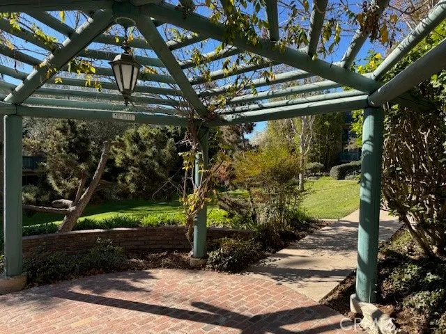 a view of a yard with plants