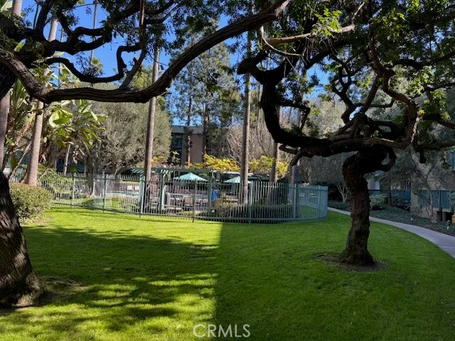a view of a swimming pool with a garden