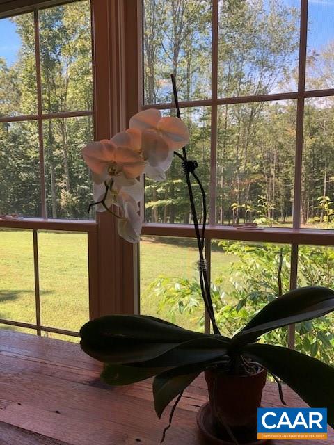 4601 South Blue Ridge Turnpike South Rochelle, VA 22738 - Photo 10 of 20 a room with a bed and a large window
