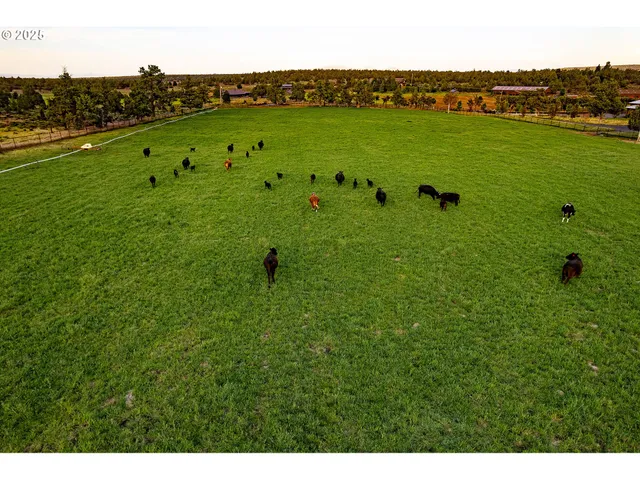 a view of a green field