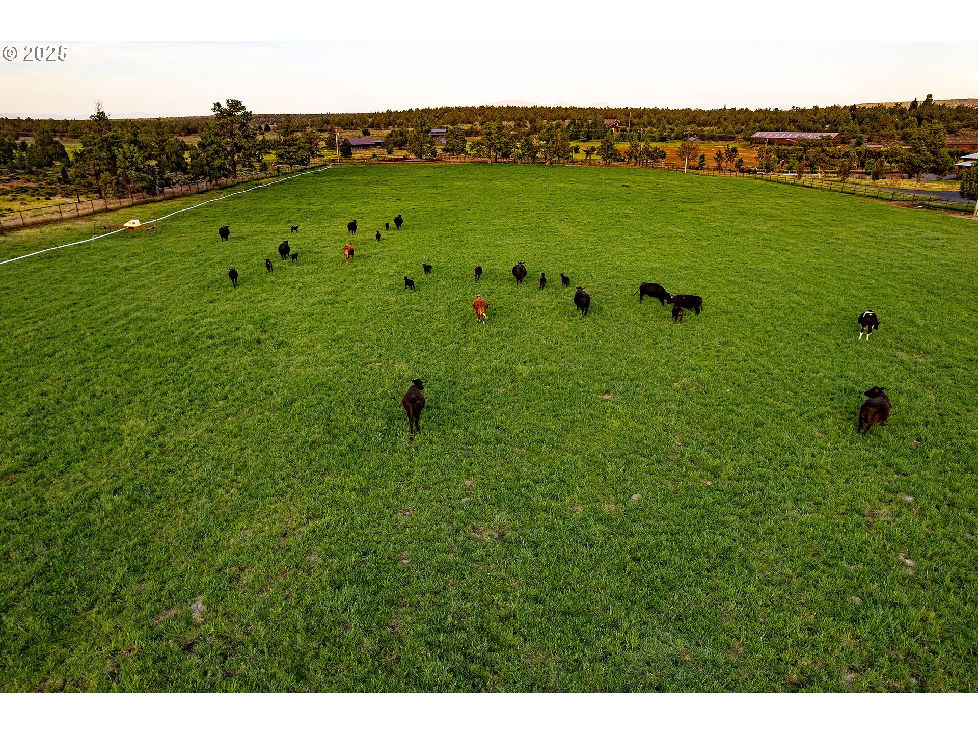 66505 Gerking Market Road Bend, OR 97703 - Photo 37 of 48