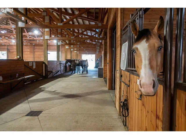 a view of living room filled with furniture and a couch