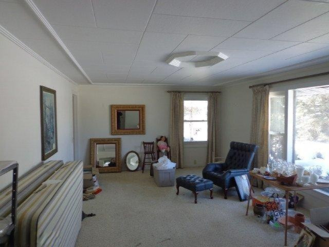 2127 South State Road Ionia, MI 48846 - Photo 12 of 21 Additional Photo