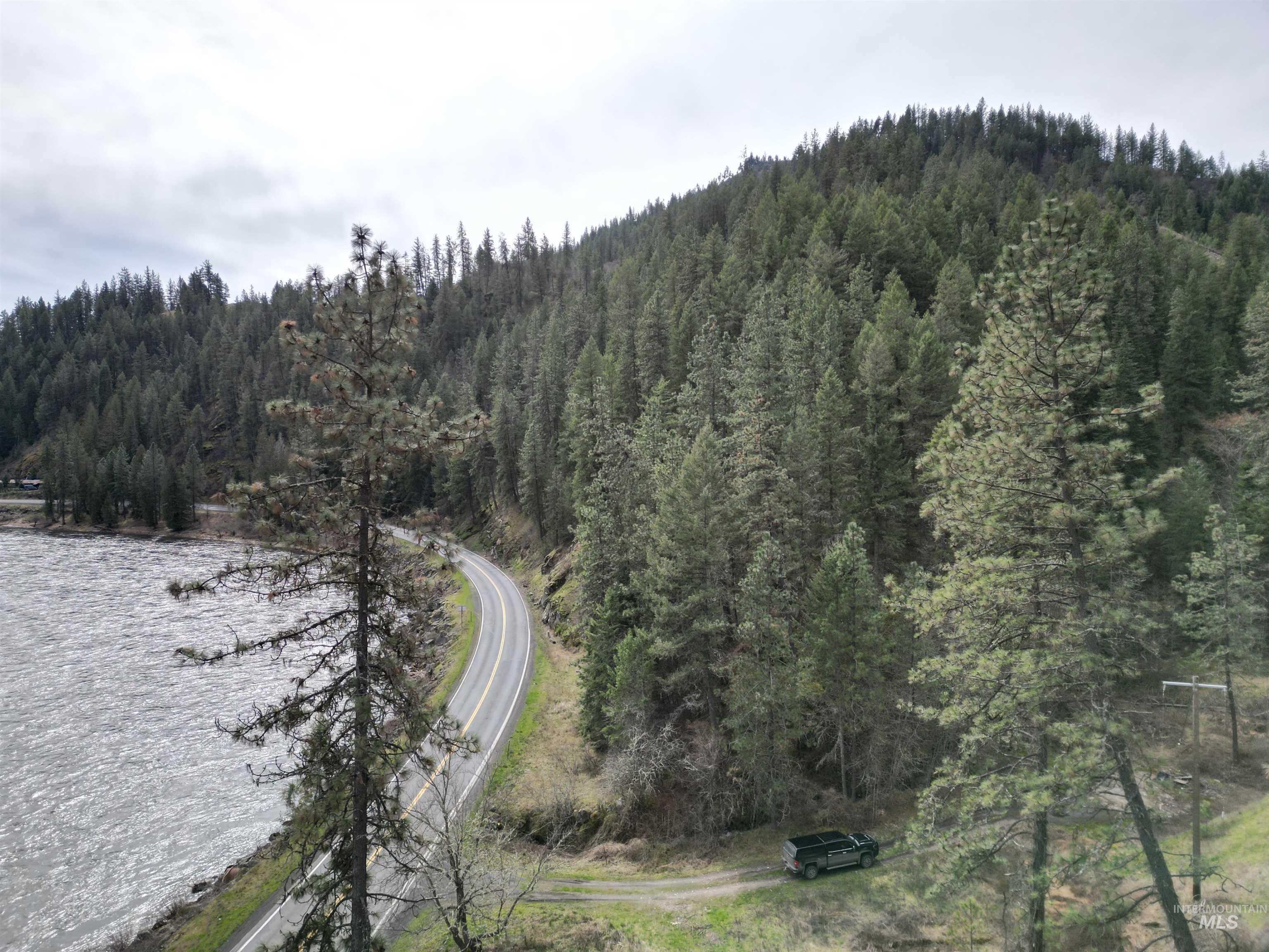 12 Highway 12 Nezperce, ID 83543 - Photo 1 of 26 Drone / aerial view of a forest