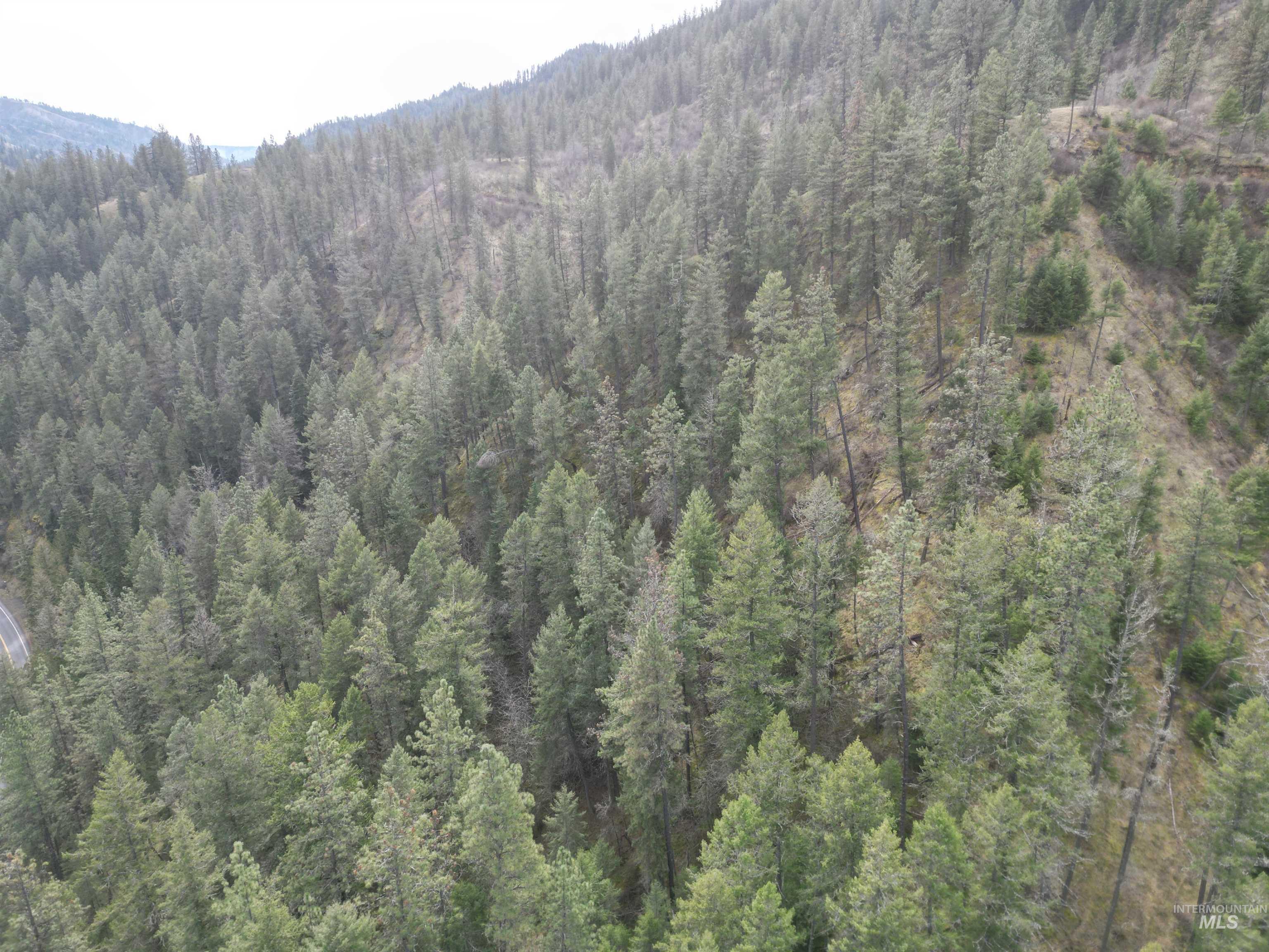 12 Highway 12 Nezperce, ID 83543 - Photo 11 of 26 View of mountain backdrop featuring a forest