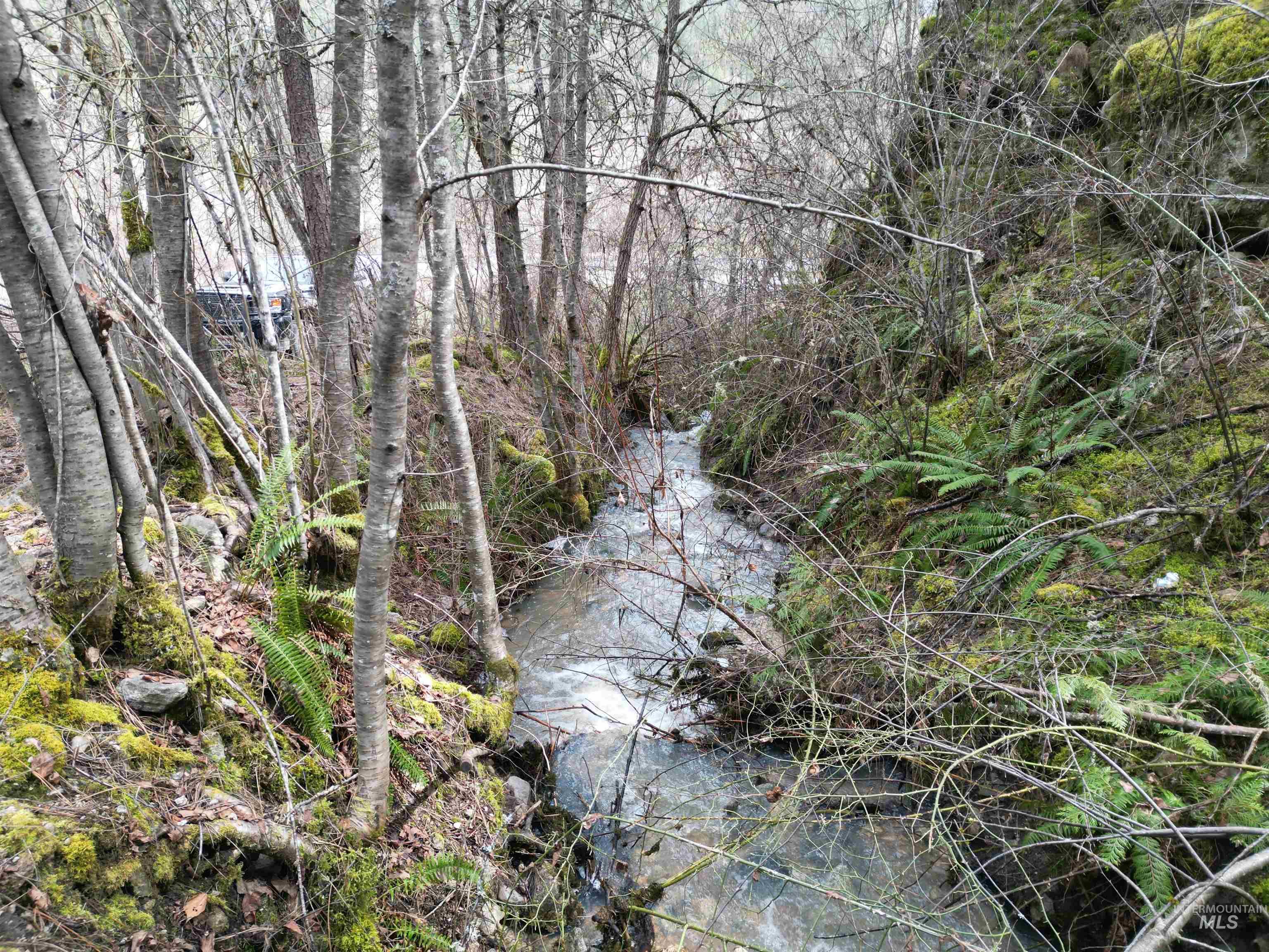 12 Highway 12 Nezperce, ID 83543 - Photo 18 of 26 View of nature