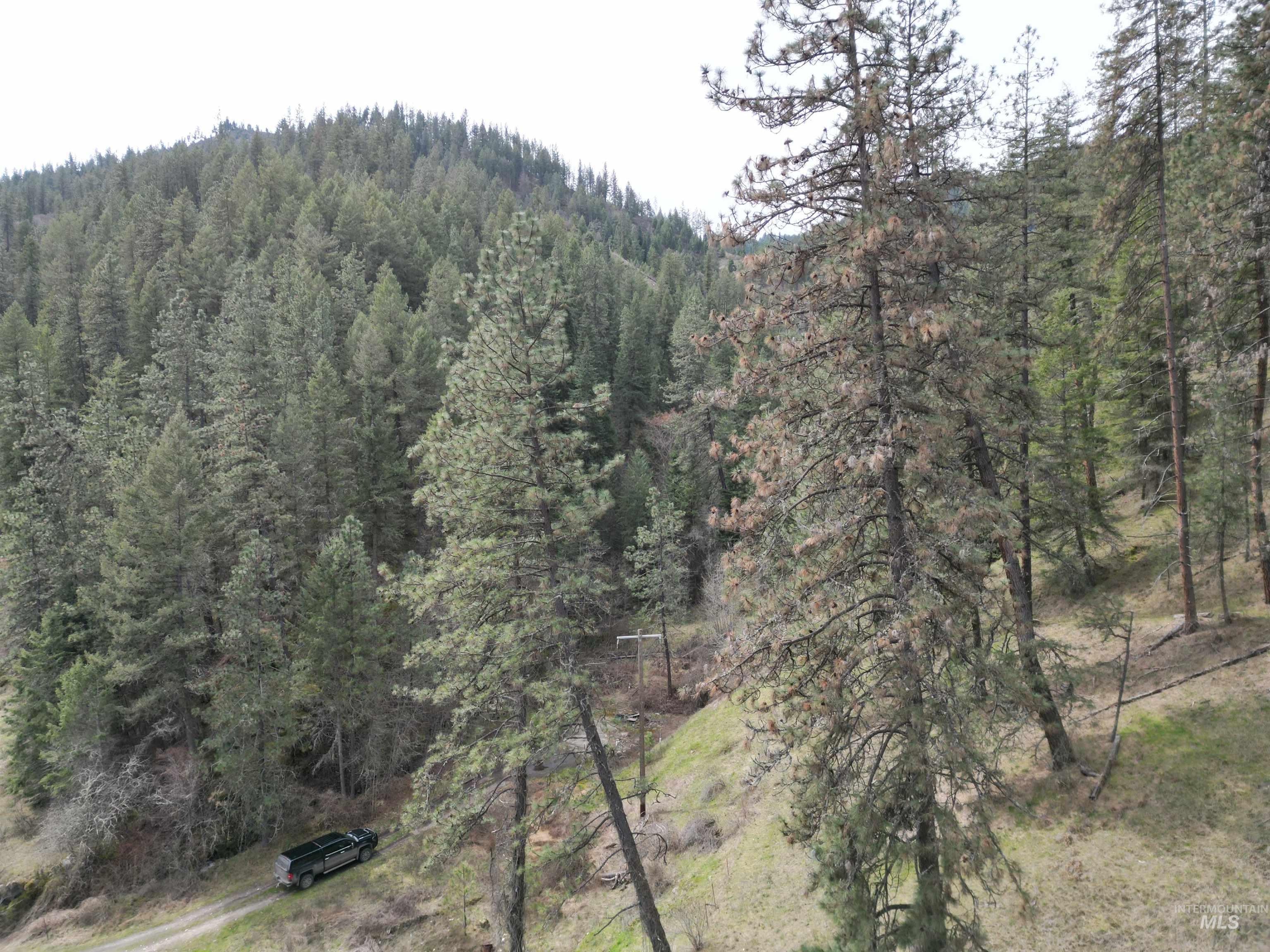 12 Highway 12 Nezperce, ID 83543 - Photo 2 of 26 View of mountain background featuring a forest