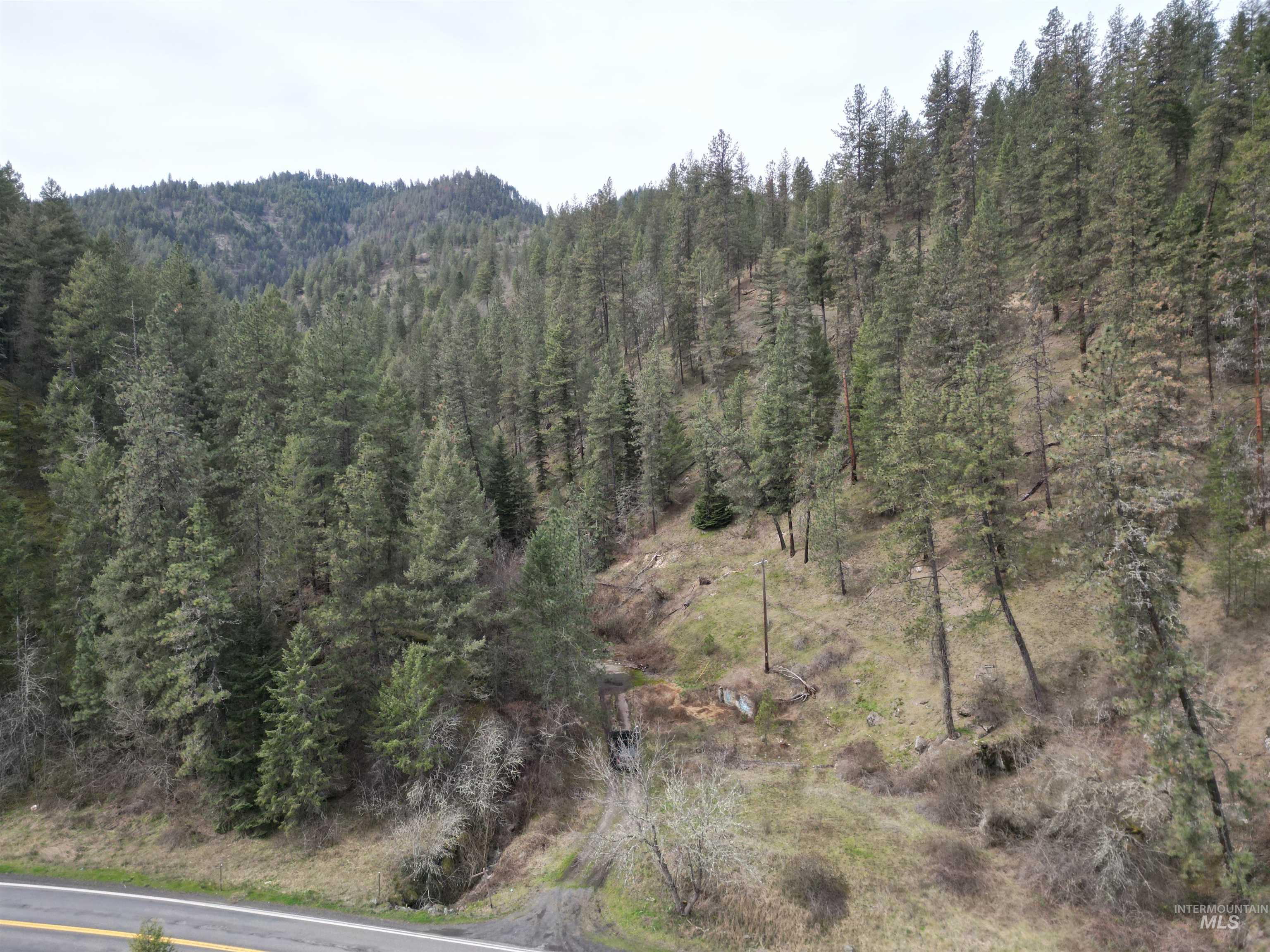 12 Highway 12 Nezperce, ID 83543 - Photo 3 of 26 View of mountain background featuring a forest