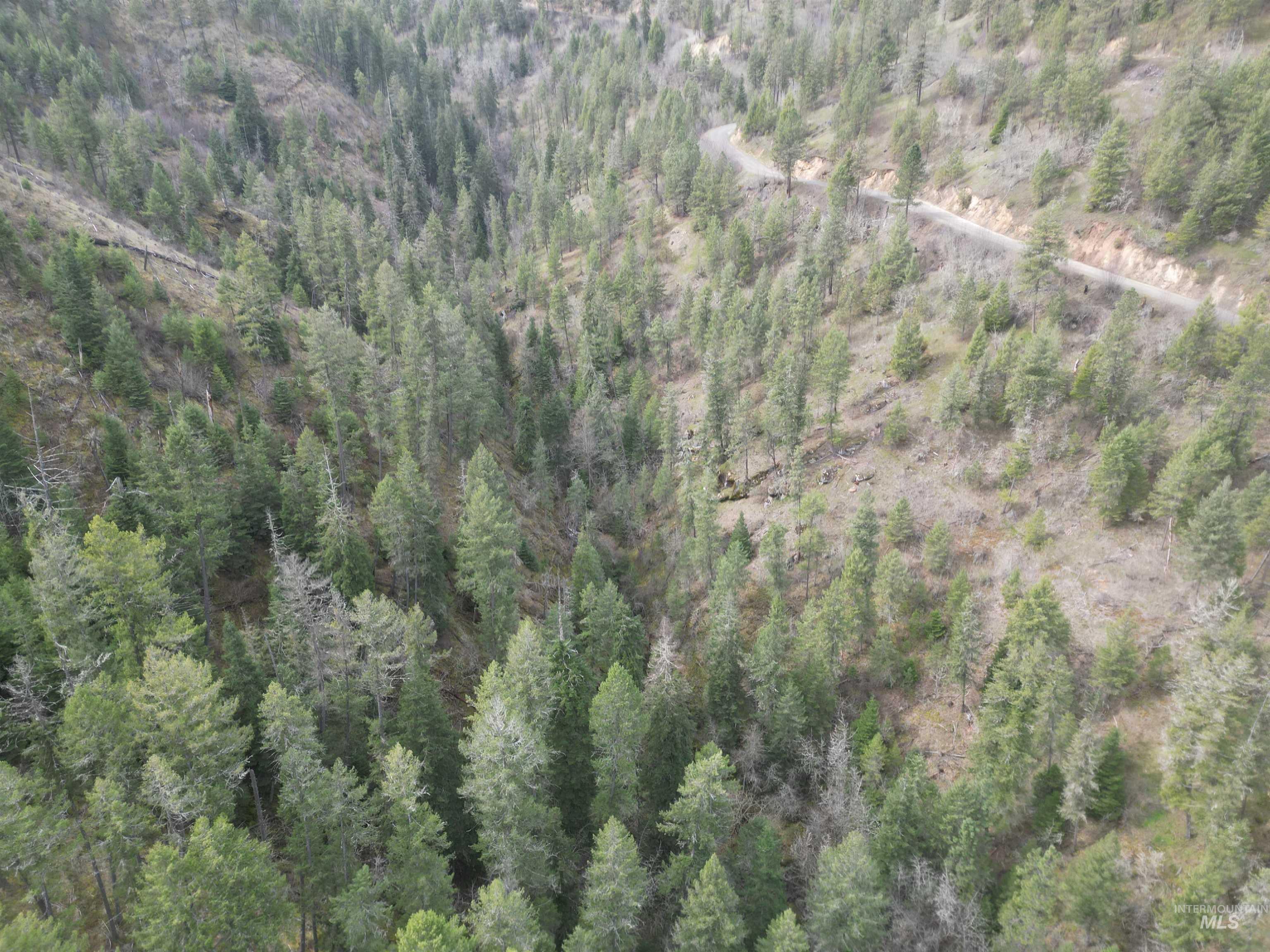 12 Highway 12 Nezperce, ID 83543 - Photo 9 of 26 Bird's eye view