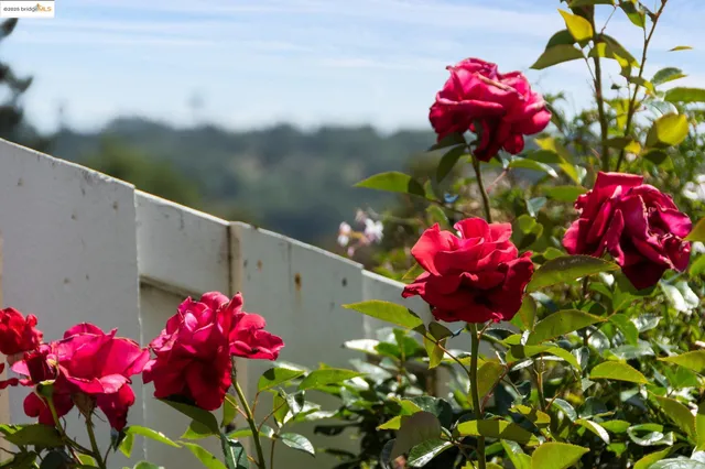 $825,000 | 93 Thousand Oaks Street, Oakland, CA 94605