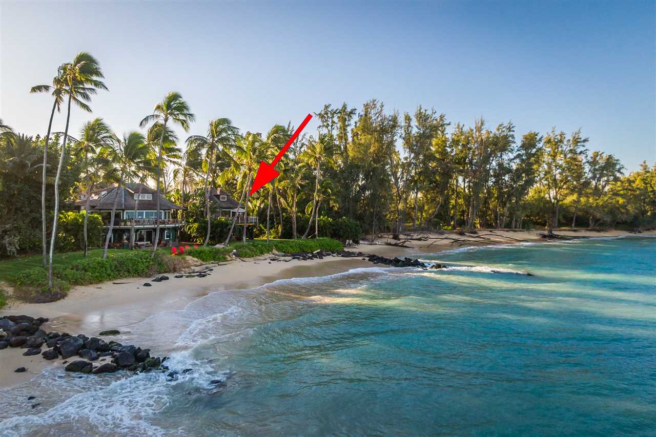 602 Stable Road Paia, HI 96779 - Photo 2 of 30 a front view of a house with a yard and trees