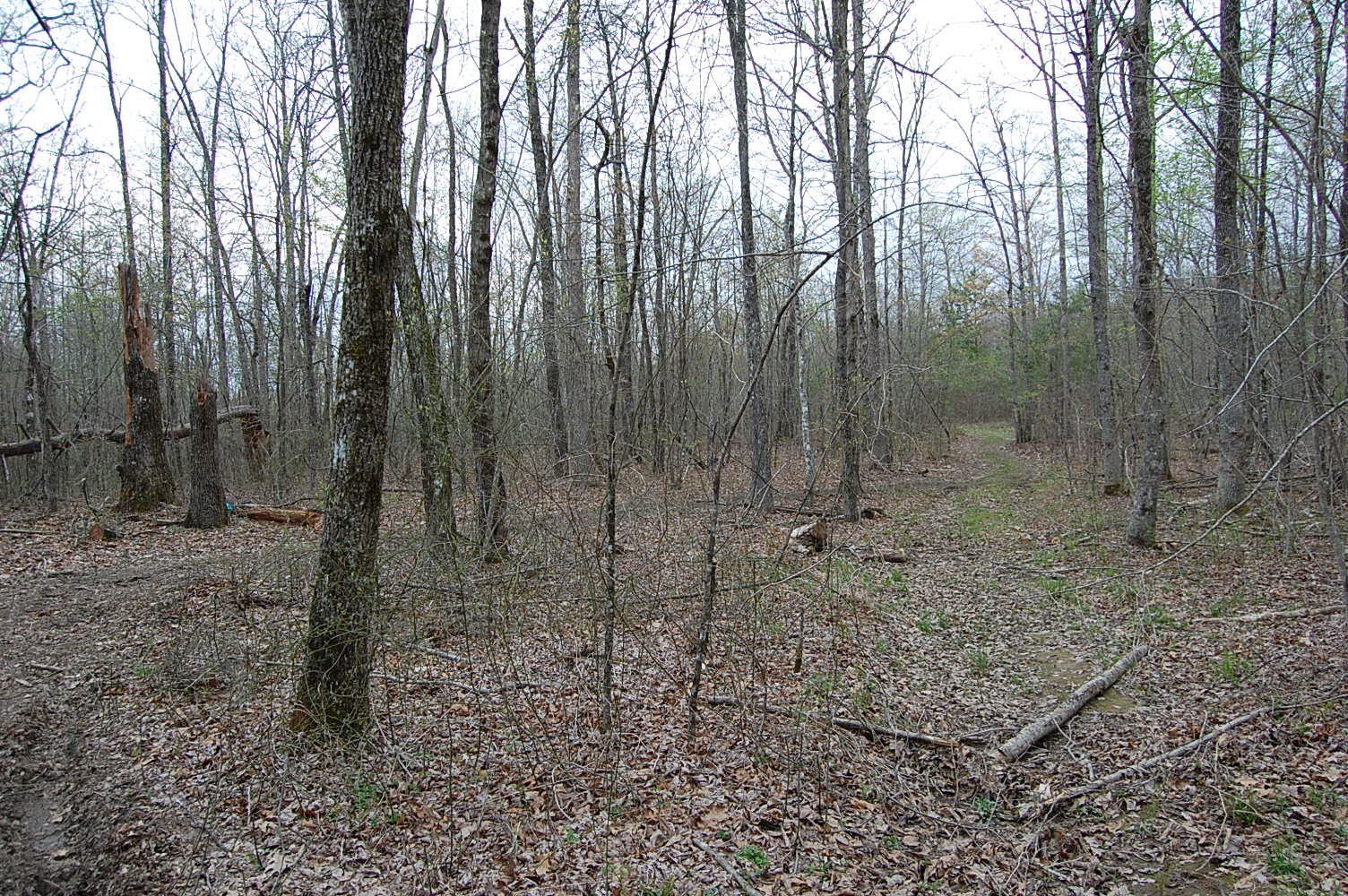 12 Flat Mountain Road Dunlap, TN 37327 - Photo 9 of 25 Gallery Image 9