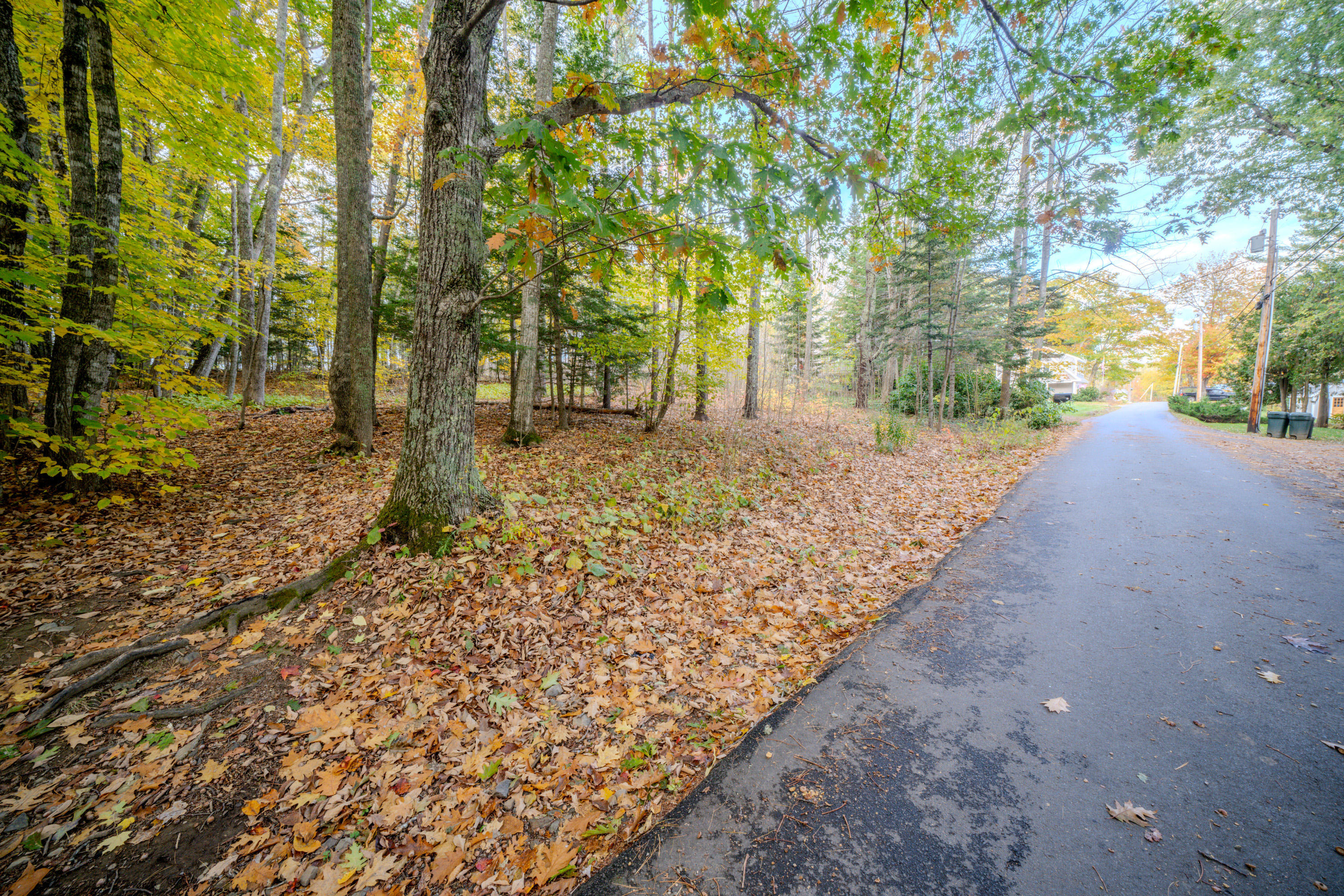 43 Norton Pond Road Lincolnville, ME 04849 - Photo 12 of 37 2831