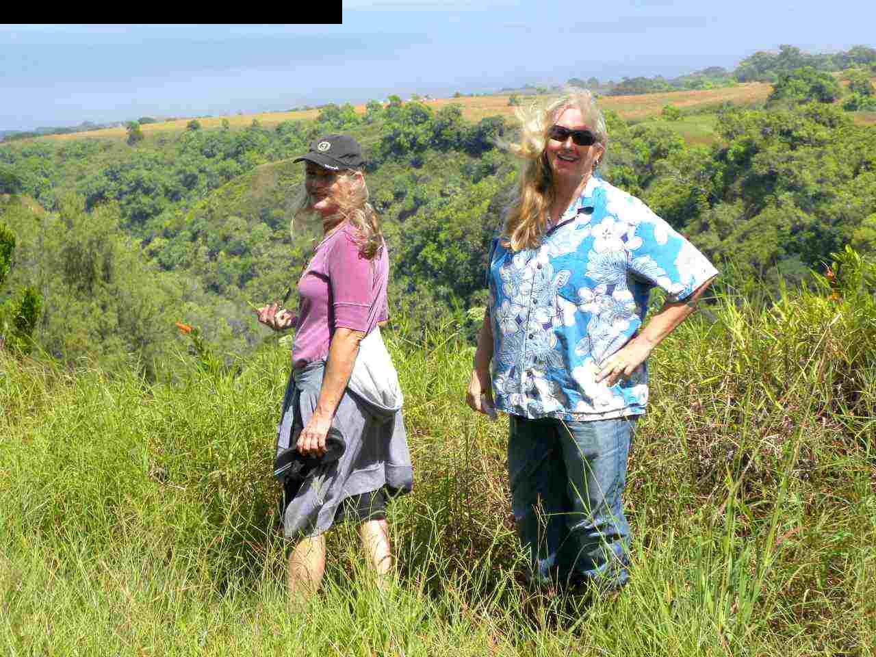 305 Kaupakalua Road Haiku, HI 96708 - Photo 13 of 13