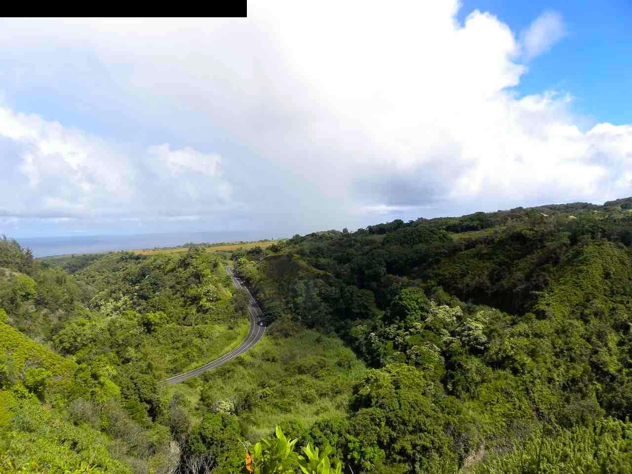 305 Kaupakalua Road Haiku, HI 96708 - Photo 2 of 13 a view of a bunch of trees