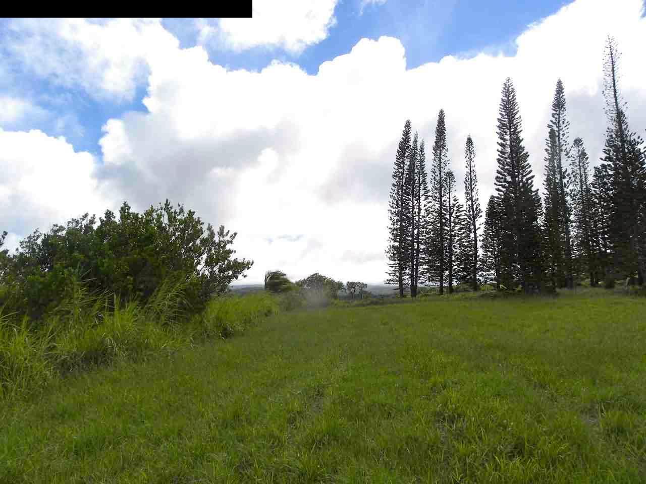 305 Kaupakalua Road Haiku, HI 96708 - Photo 4 of 13 a view of a grassy field with trees in the background