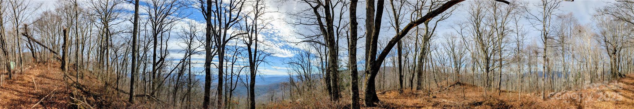 0 Christian Creek Road Swannanoa, NC 28778 - Photo 2 of 2
