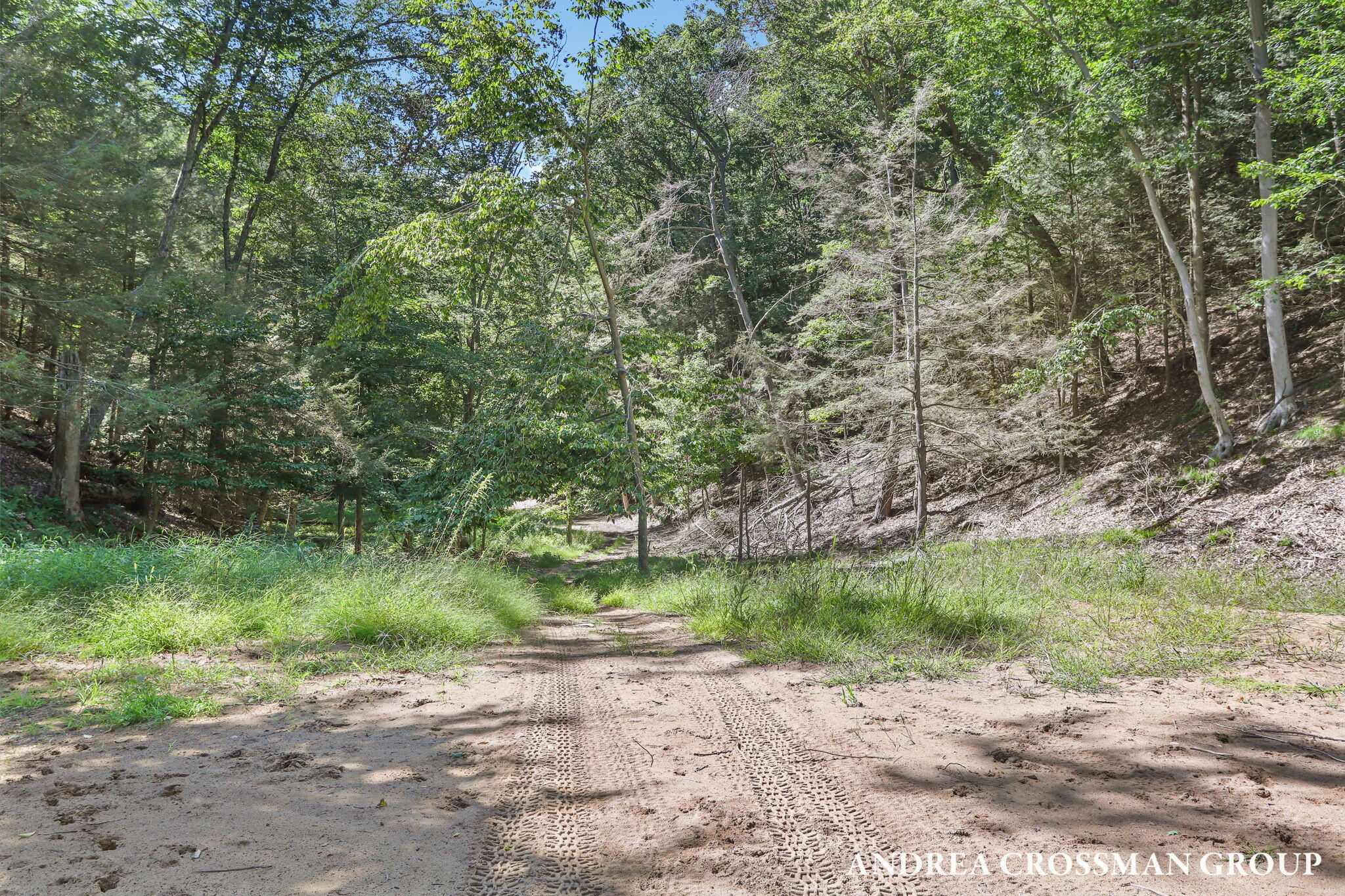 0 Lost Valley Road Montague, MI 49437 - Photo 11 of 43 80-web-or-mls-lost-valley-rd