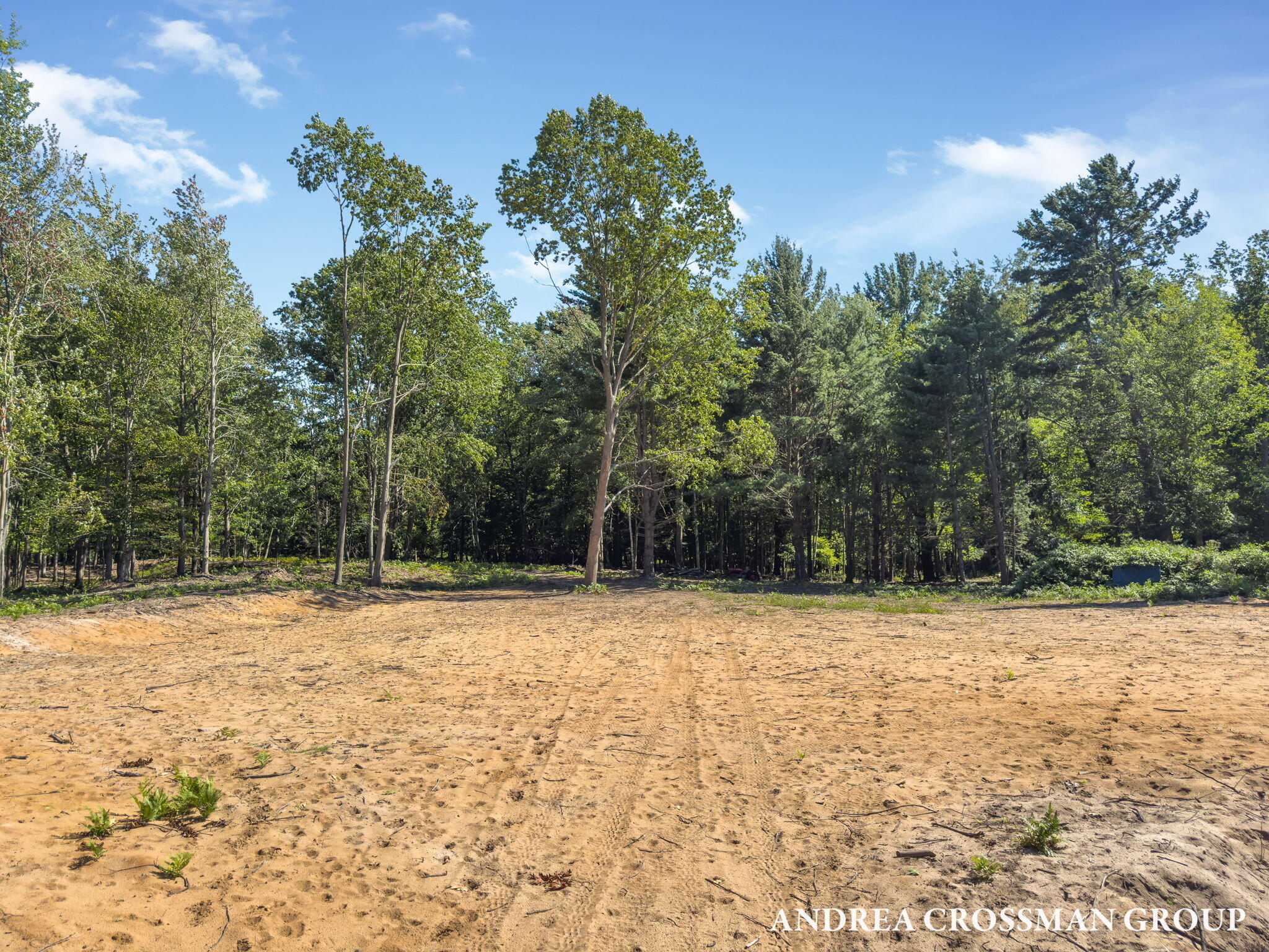 0 Lost Valley Road Montague, MI 49437 - Photo 14 of 43 98-web-or-mls-lost-valley-rd