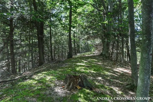 $1,200,000 | 0 Lost Valley Road, Montague, MI 49437