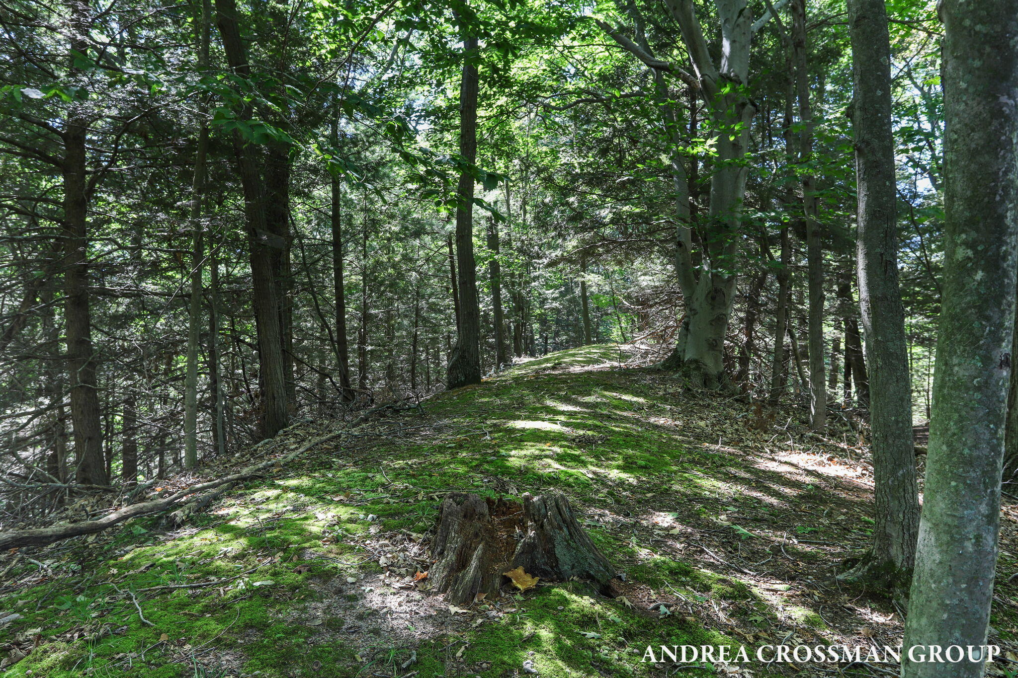 0 Lost Valley Road Montague, MI 49437 - Photo 27 of 43 92-web-or-mls-lost-valley-rd