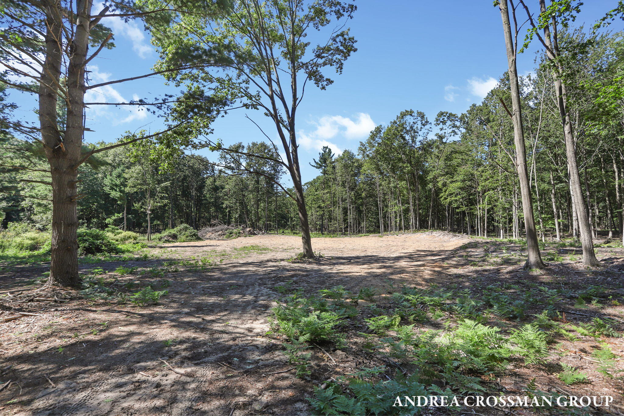 0 Lost Valley Road Montague, MI 49437 - Photo 28 of 43 93-web-or-mls-lost-valley-rd