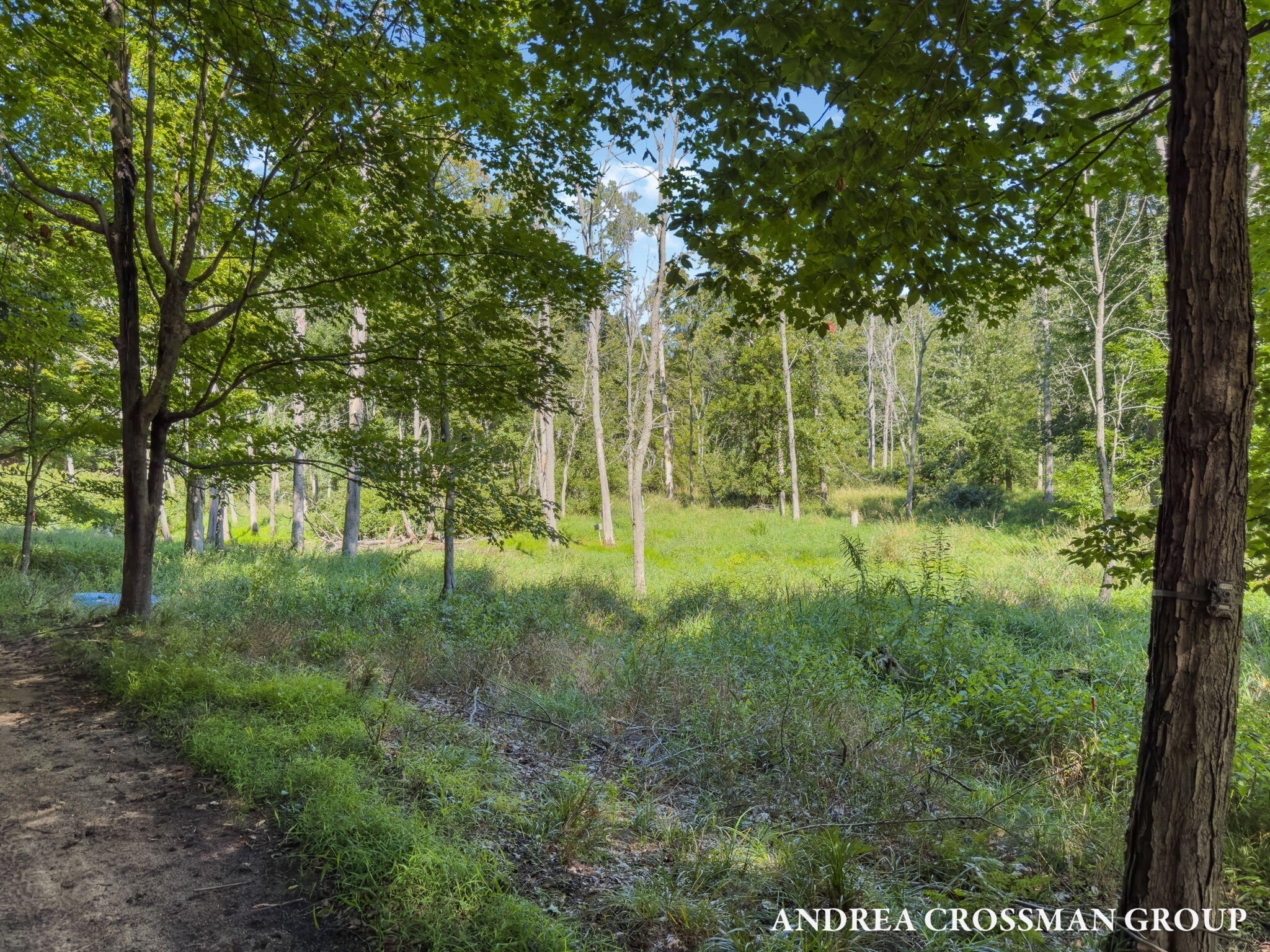 0 Lost Valley Road Montague, MI 49437 - Photo 29 of 43 95-web-or-mls-lost-valley-rd