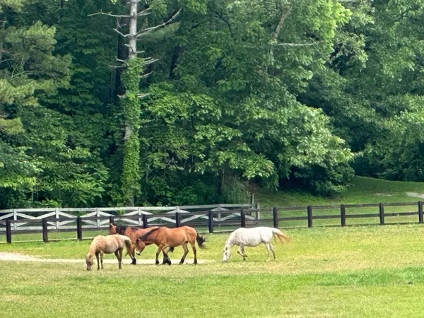 $6,495,999 | 3622 Sandy Ford Road, Clayton, GA 30525