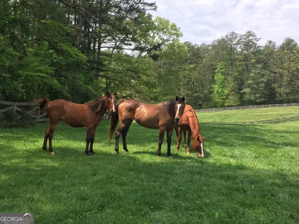 $6,495,999 | 3622 Sandy Ford Road, Clayton, GA 30525