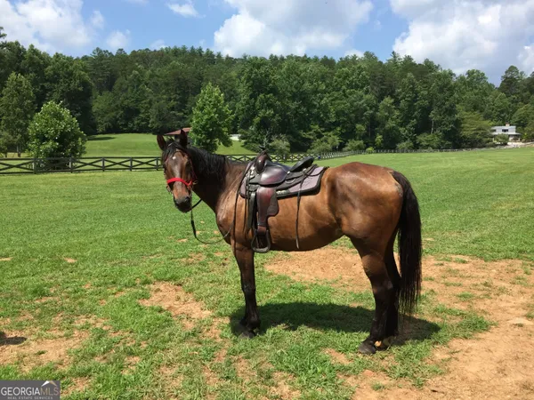 $6,495,999 | 3622 Sandy Ford Road, Clayton, GA 30525