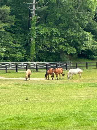 $6,495,999 | 3622 Sandy Ford Road, Clayton, GA 30525